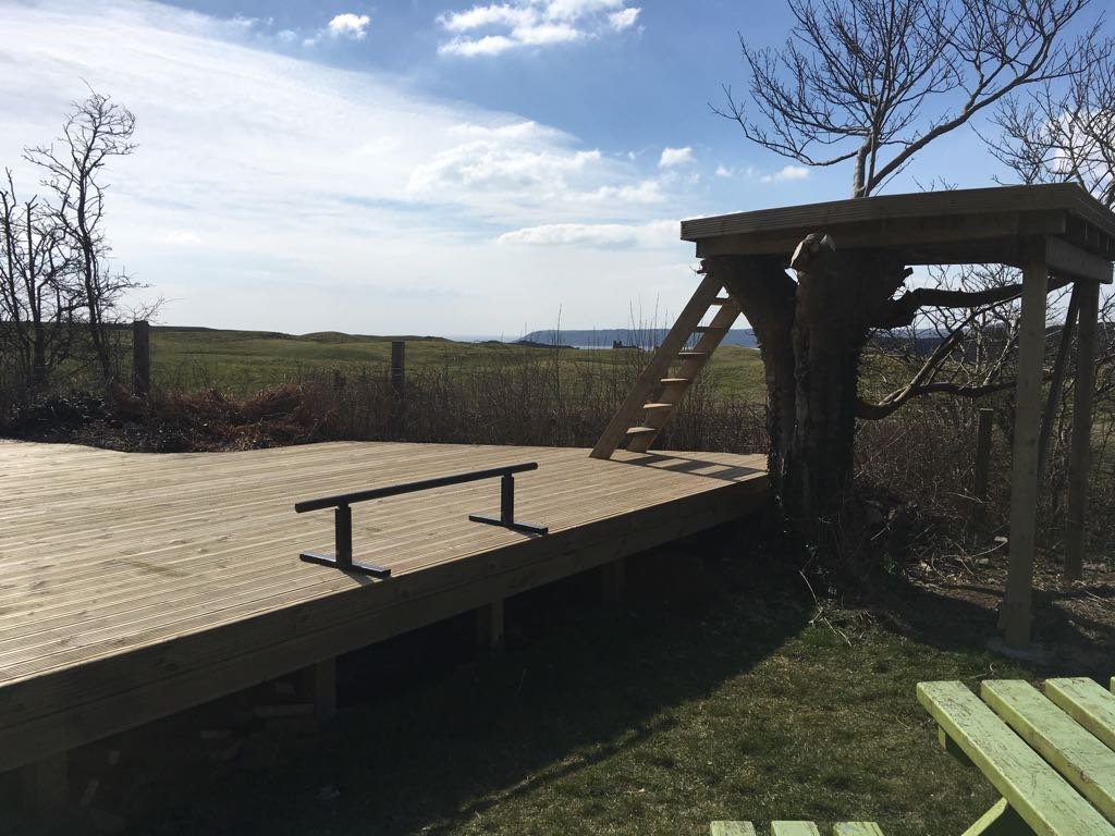 Lookout built around Tree